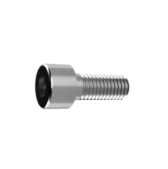 Imagen de Tornillo de inoxidable bristol